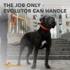 Extra Heavy Duty Dog Leash 4 Ft x 1 inch Durable Leash for Large Medium and Small Dogs Walking Dog Leash Orange Color