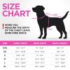 Dog Winter Coat S Size Lightweight Reversible Warm Dog Jacket Water Resistant Windproof Jacket Dog Coats for Small Dogs Vest