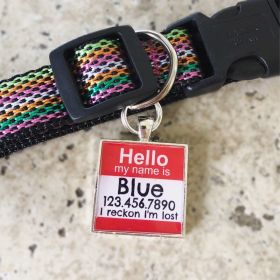 Hello Personalized Silver Dog ID Pet Tag (HELLO CENTER DESIGN COLOR: LIME, SHAPE: SQUARE)