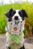 Hello Personalized Silver Dog ID Pet Tag